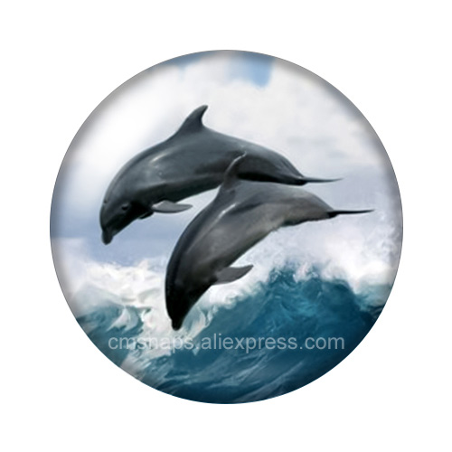 Love Style dolphins Couple Sea - Jewelry Making For Couples 评论和价格